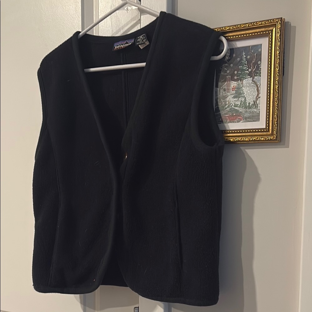 Vintage Patagonia synchilla Fleece Vest